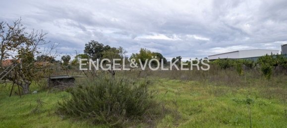 4 chambres Maison à Setubal, Portugal No. 14140 7