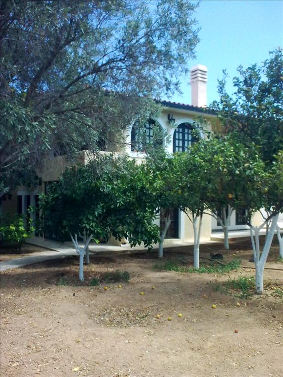 4 Schlafzimmer Villa in Aegina, Greece, Nr. 6070