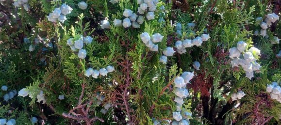 3 bedrooms House in Finale Ligure, Italy No. 372163 29