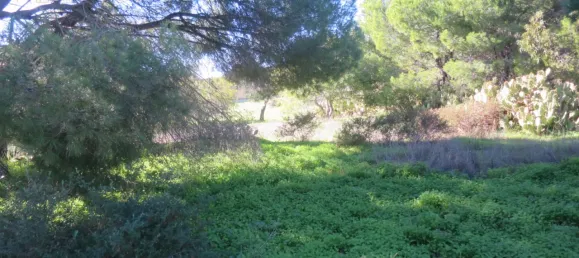  Land in Quarteira, Portugal No. 59967 4