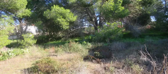  Land in Quarteira, Portugal No. 59967 6