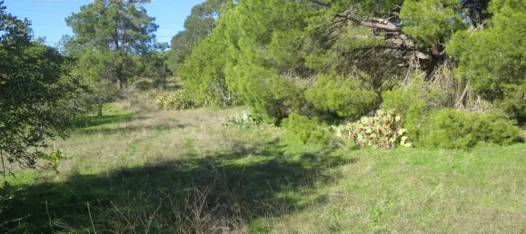  Land in Quarteira, Portugal No. 59967 5