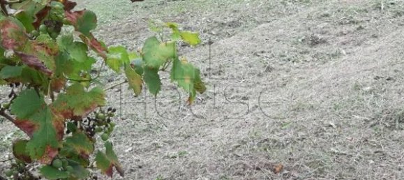 Imóvel comercial em Anghiari, Italy 130 m² N.º 62387 7