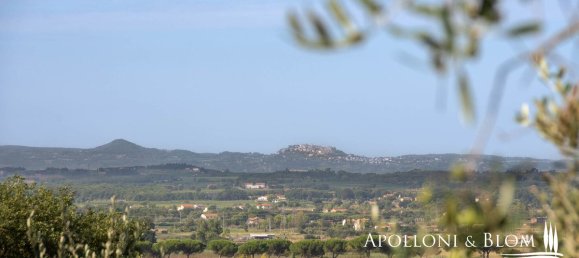 Вилла с 4 спальнями в Кортона, Италия № 54139 4