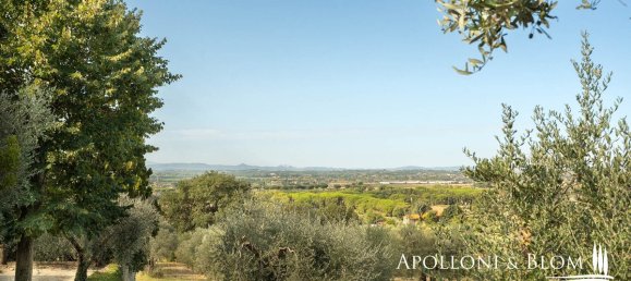 Вилла с 4 спальнями в Кортона, Италия № 54139 36