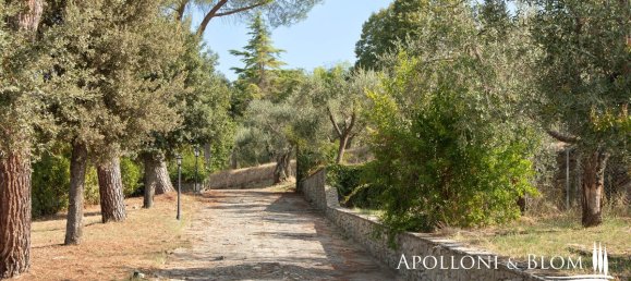 Вилла с 4 спальнями в Кортона, Италия № 54139 38