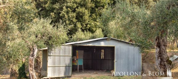 Вилла с 4 спальнями в Кортона, Италия № 54139 33