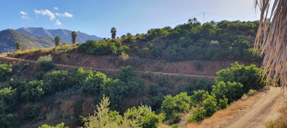 قطعة أرض في Monda, Spain 31000متر مربع رقم 157285 31