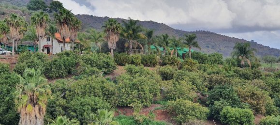 قطعة أرض في Monda, Spain 31000متر مربع رقم 157285 14