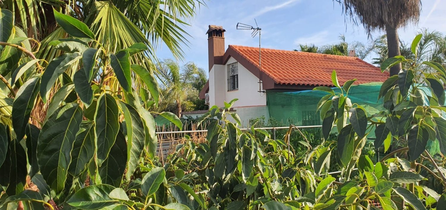  قطعة أرض في Monda, Spain 31000متر مربع رقم 157285