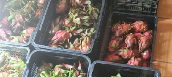 قطعة أرض في Monda, Spain 31000متر مربع رقم 157285 33