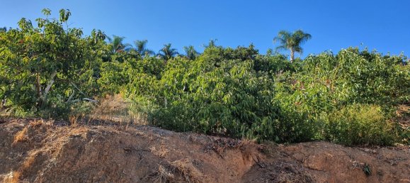 قطعة أرض في Monda, Spain 31000متر مربع رقم 157285 5