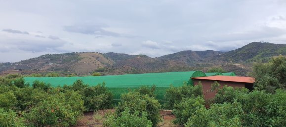 قطعة أرض في Monda, Spain 31000متر مربع رقم 157285 2