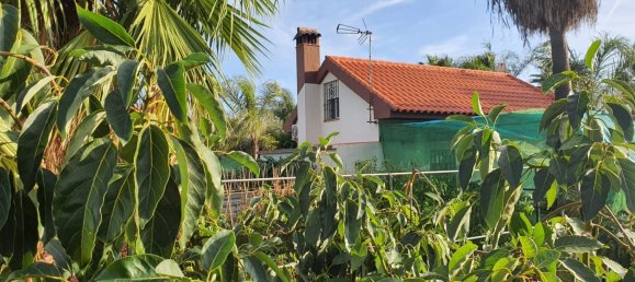 قطعة أرض في Monda, Spain 31000متر مربع رقم 157285 4