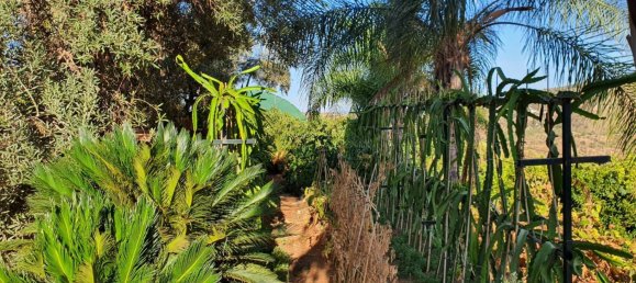 قطعة أرض في Monda, Spain 31000متر مربع رقم 157285 6