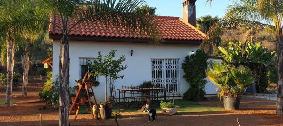 قطعة أرض في Monda, Spain 31000متر مربع رقم 157285 17