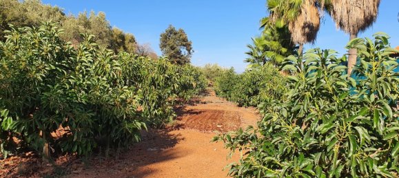 قطعة أرض في Monda, Spain 31000متر مربع رقم 157285 9