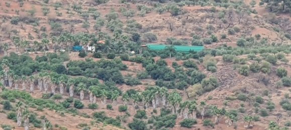 قطعة أرض في Monda, Spain 31000متر مربع رقم 157285 32