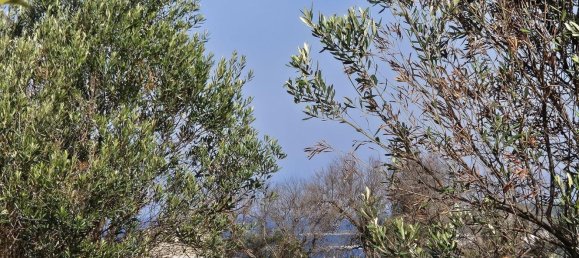 5 bedrooms House in Sannicola, Italy No. 323634 38