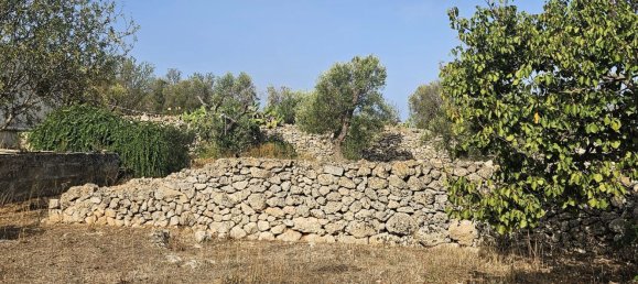 5 bedrooms House in Sannicola, Italy No. 323634 43