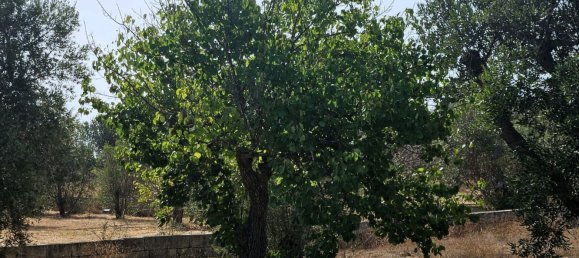 5 bedrooms House in Sannicola, Italy No. 323634 40