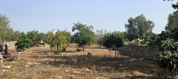 5 bedrooms House in Sannicola, Italy No. 323634 45