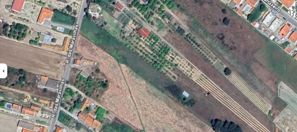 3 Schlafzimmer Haus in Marinhais, Portugal, Nr. 140155 33