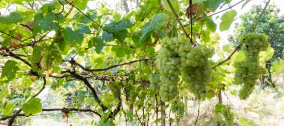 Дом с 3 спальнями в Валенса, Португалия № 73545 12