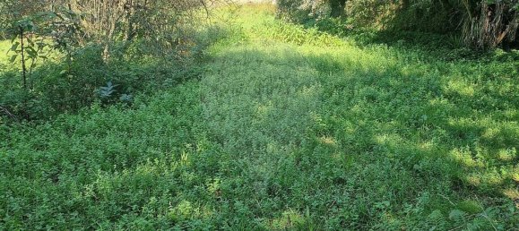 1 chambre Maison à Vila Verde, Portugal No. 189181 16