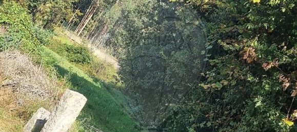 1 chambre Maison à Vila Verde, Portugal No. 189181 13