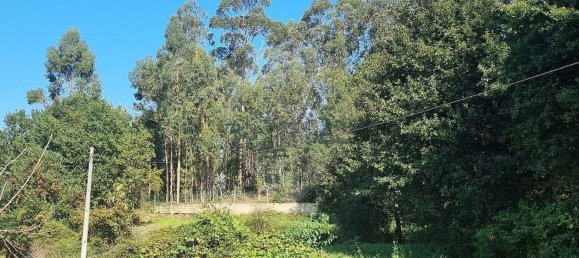 1 chambre Maison à Vila Verde, Portugal No. 189181 15