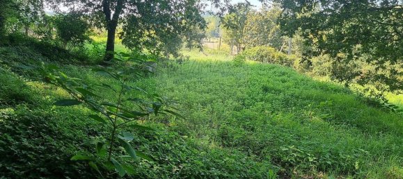 1 chambre Maison à Vila Verde, Portugal No. 189181 14