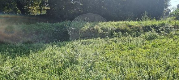 1 chambre Maison à Vila Verde, Portugal No. 189181 17