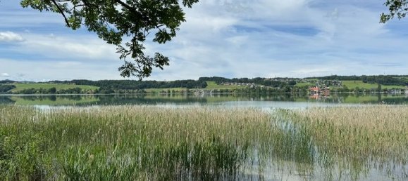 Land in Mattsee, Austria No. 120206 4