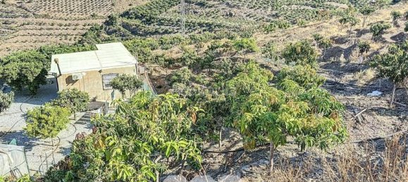 1 bedroom House in Benamargosa, Spain No. 36888 32