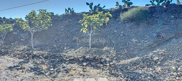 1 bedroom House in Benamargosa, Spain No. 36888 21