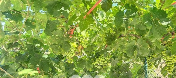 1 bedroom House in Benamargosa, Spain No. 36888 36