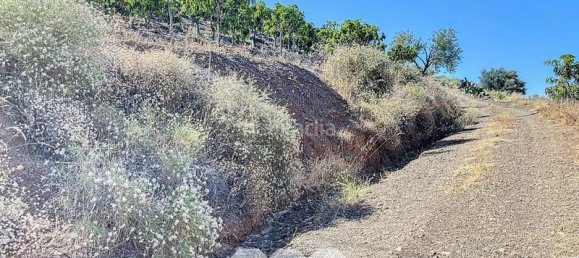 1 bedroom House in Benamargosa, Spain No. 36888 13