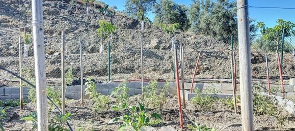 1 bedroom House in Benamargosa, Spain No. 36888 35