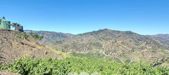 1 bedroom House in Benamargosa, Spain No. 36888 23