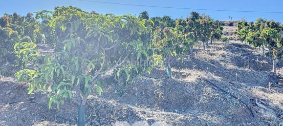 1 bedroom House in Benamargosa, Spain No. 36888 47