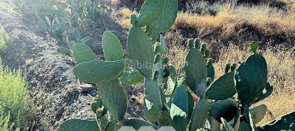 1 bedroom House in Benamargosa, Spain No. 36888 34