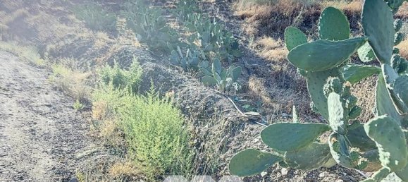 1 bedroom House in Benamargosa, Spain No. 36888 33