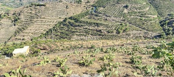 1 bedroom House in Benamargosa, Spain No. 36888 16