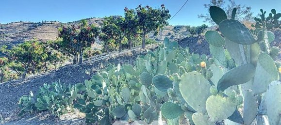 1 bedroom House in Benamargosa, Spain No. 36888 22