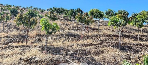 1 bedroom House in Benamargosa, Spain No. 36888 46