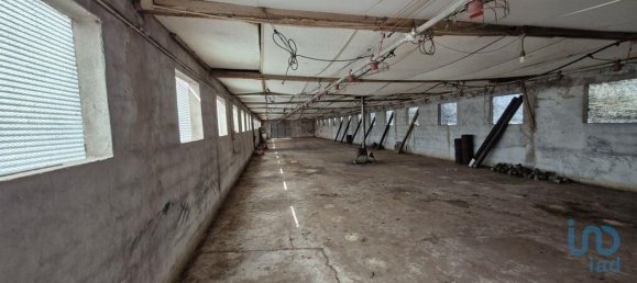 3 bedrooms House in Santarem, Portugal No. 144264 24