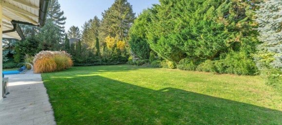 4 rooms Bungalow in Bad Fischau-Brunn, Austria No. 213695 23