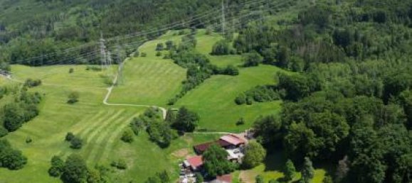 Бунгало с 4 спальнями в Вальдсхут, Германия № 283020 8