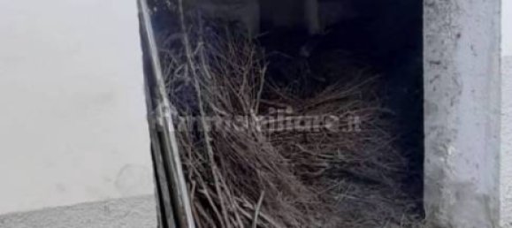 2 bedrooms House in Pietrabbondante, Italy No. 348351 10